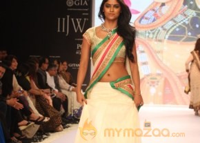 TV Celebs Walk the Ramp at IIJW 2013 photo 23