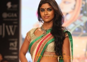 TV Celebs Walk the Ramp at IIJW 2013 photo 40