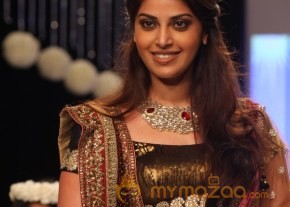 TV Celebs Walk the Ramp at IIJW 2013 photo 29
