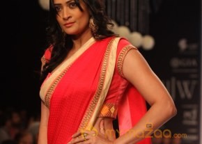TV Celebs Walk the Ramp at IIJW 2013 photo 19