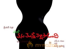 Vamsi Thanu Monne Vellipoyindi New Posters photo 17