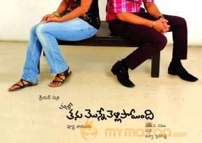 Vamsi Thanu Monne Vellipoyindi New Posters photo 19
