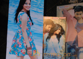 Vasool Raja Audio Release Photos photo 36