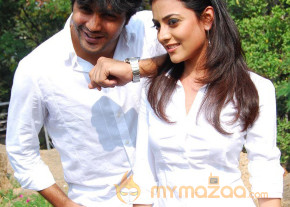 Veelle Movie Launch  photo 5