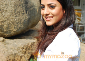 Veelle Movie Launch 