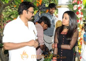 Venkatesh and Trisha New Movie Launch Gallery photo 18