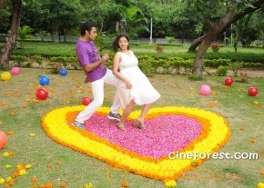 Vijetha Movie Latest Photo Gallery photo 8