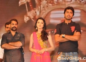Yamudiki Mogudu Audio Launch Gallery photo 28
