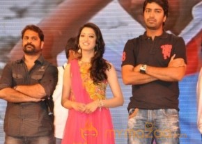 Yamudiki Mogudu Audio Launch Gallery photo 29