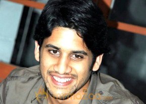 ‘Ye Maaya Chesaave’ Press Meet-Gallery photo 14