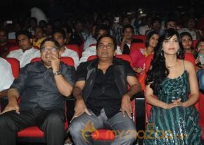 Yevadu Audio Launch Photos Set 5 photo 108