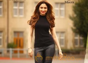 Bengal Tiger Movie First Look Posters 
