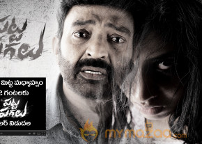 Rajashekar's Patta Pagalu Movie First Look  photo 2