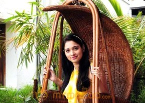 100 Percent Love latest stills photo 8