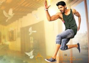 Aatadukundam Raa Sushanth Telugu Movie Stills photo 9