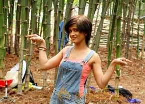  Affair Movie Latest Stills 