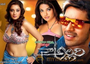 Allari Naresh Naa Allari movie stills photo 8