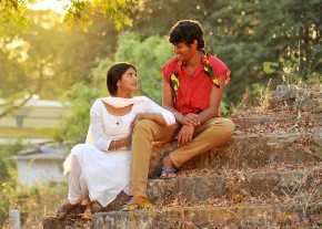 Andhra Pori photo 8