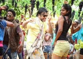 Anekudu photo 15