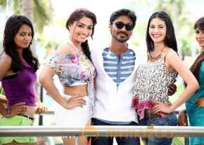 Anekudu photo 8
