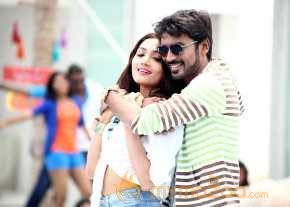 Anekudu photo 17