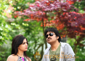 Attarintiki Daaredi New Movie Stills   photo 5