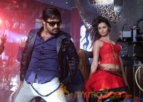 Baadshah Movie Stills  photo 8