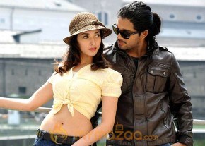 Badrinath Latest Movie Stills photo 6