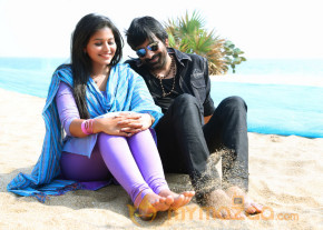 Balupu Movie New Stills  photo 16
