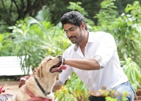 Bangalore Naatkal Movie Photos and Posters photo 43