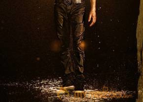 Bengal Tiger Movie Latest Stills photo 15