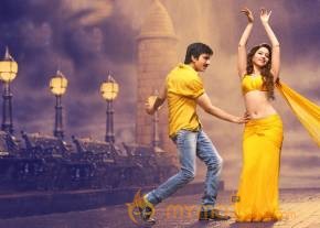 Bengal Tiger Movie Latest Stills photo 3