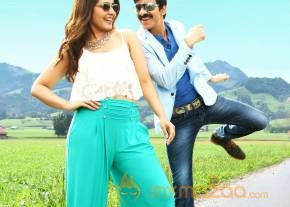 Bengal Tiger Movie Latest Stills photo 11