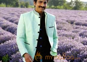 Bengal Tiger Movie Latest Stills photo 16