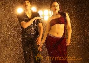 Bengal Tiger Movie Latest Stills photo 20