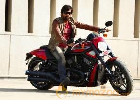 Bengal Tiger Movie Latest Stills photo 18