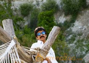 Bengal Tiger Movie Latest Stills