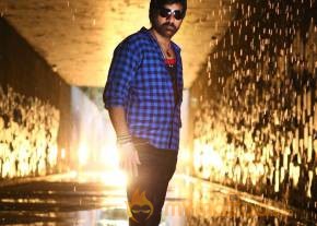 Bengal Tiger Movie Latest Stills photo 9