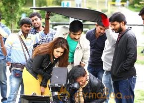 Bengal Tiger new working stills gallery photo 2