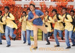 Bhai Movie New Stills  photo 4