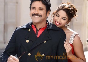 Bhai Movie Stills   photo 55