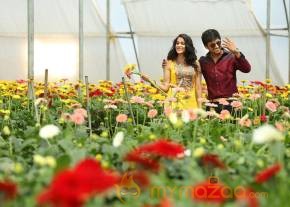 Bhale Bhale Magadivoi Movie Latest Stills photo 3
