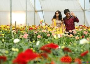 Bhale Bhale Magadivoy Movie New Stills photo 3