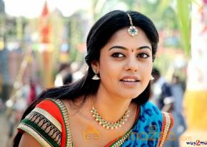 Bhallaladeva Movie New Photos  photo 16