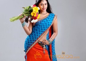 Bhallaladeva Movie Photos photo 18