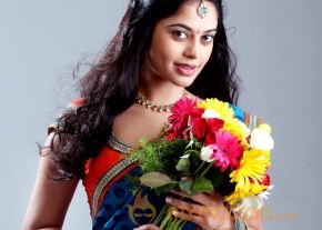 Bhallaladeva Movie Photos photo 5