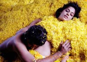 Bhallaladeva photo 7