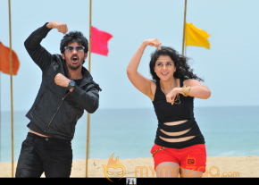 Bunny n Cherry Working Stills  photo 29