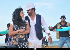 Bunny n Cherry Working Stills  photo 15
