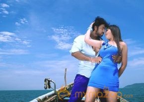 Dandu Movie Stills photo 8